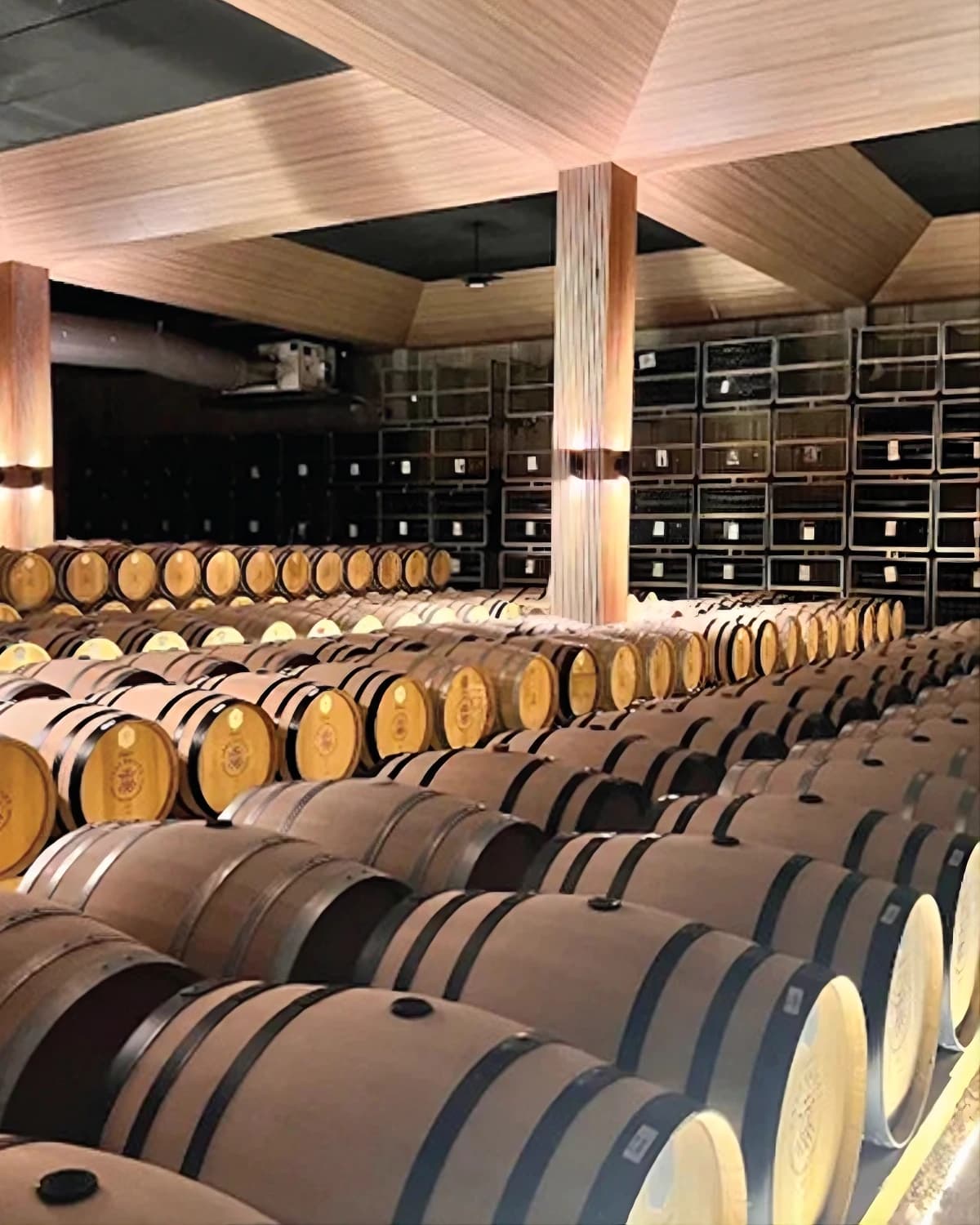 Cellar with rows of oak barrels under a wooden ceiling, and racks of bottles along the back wall