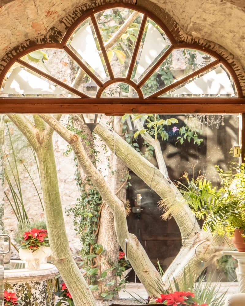 The living room seen through a stone arch with a timber fanlight, toward the courtyard with trees and poinsettias